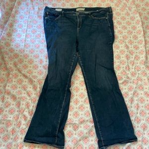 Torrid jeans